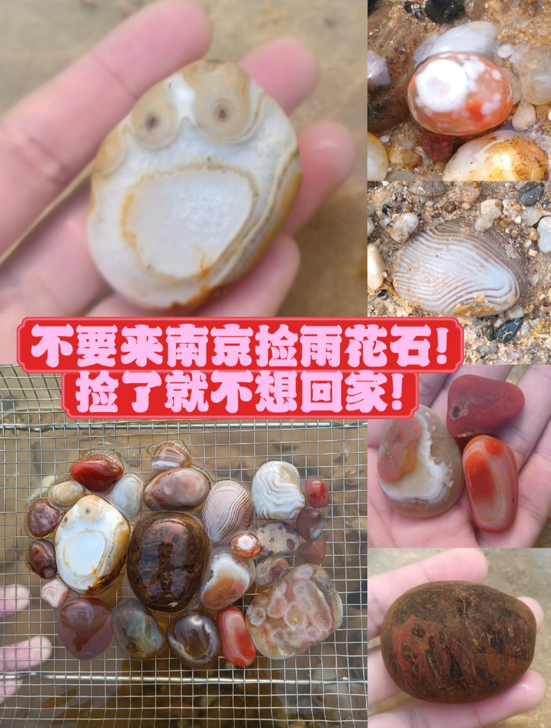 雨花石dj版苹果滤镜刀郎徒弟云朵唱雨花石-第2张图片-太平洋在线下载