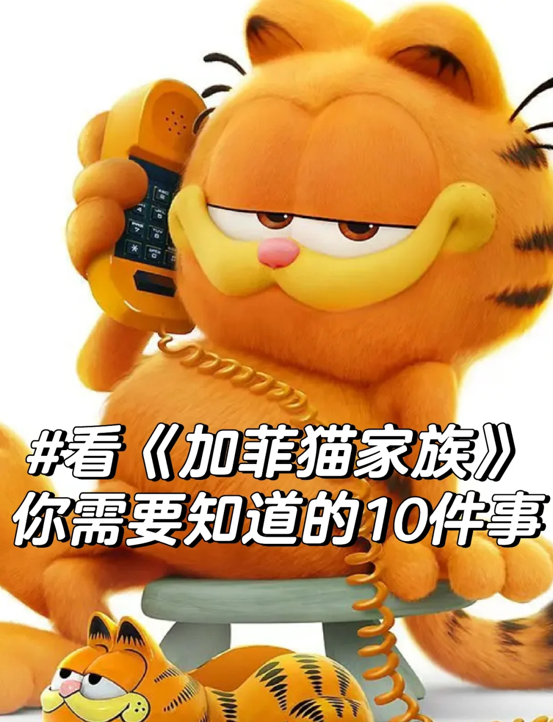 加菲猫影视app苹果版加菲猫奇幻之旅tv版破解版-第2张图片-太平洋在线下载