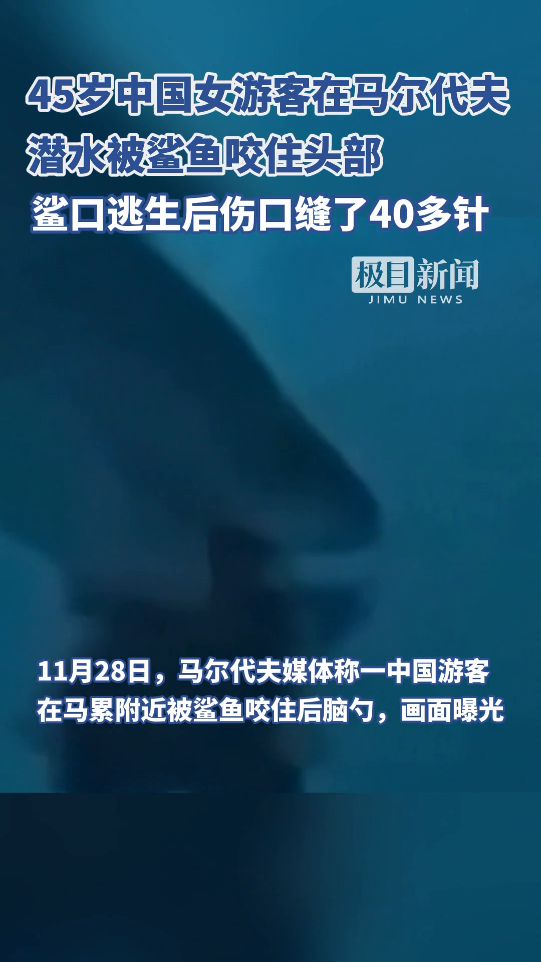 鲨鱼咬咬咬安卓版鲨鱼咬手指游戏叫什么