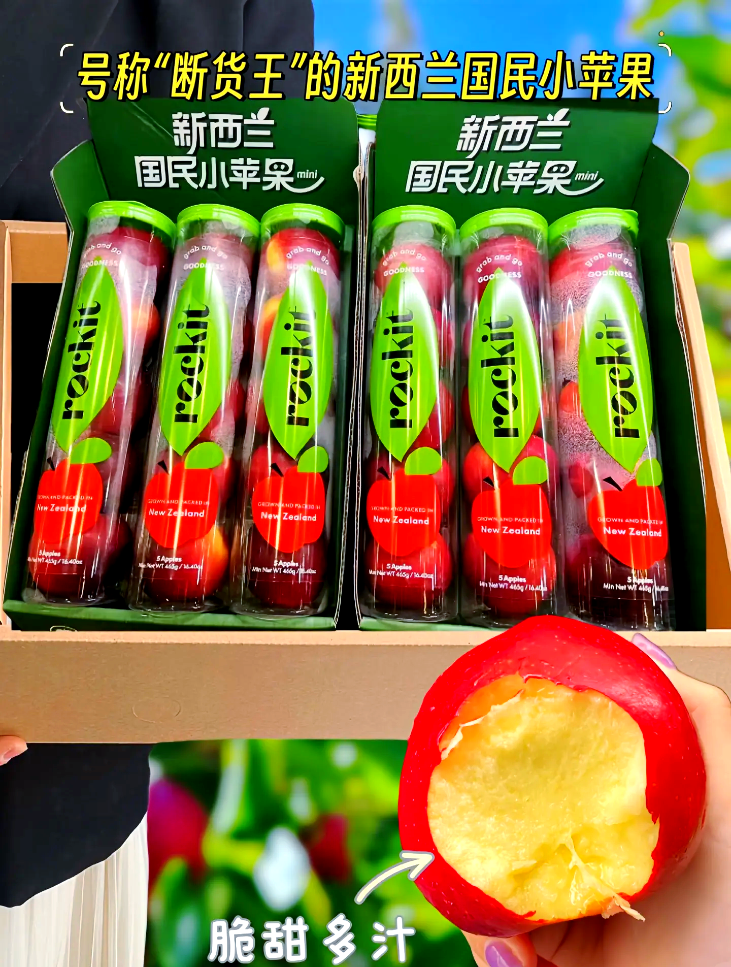聚会版小苹果小苹果现场版的-第2张图片-太平洋在线下载